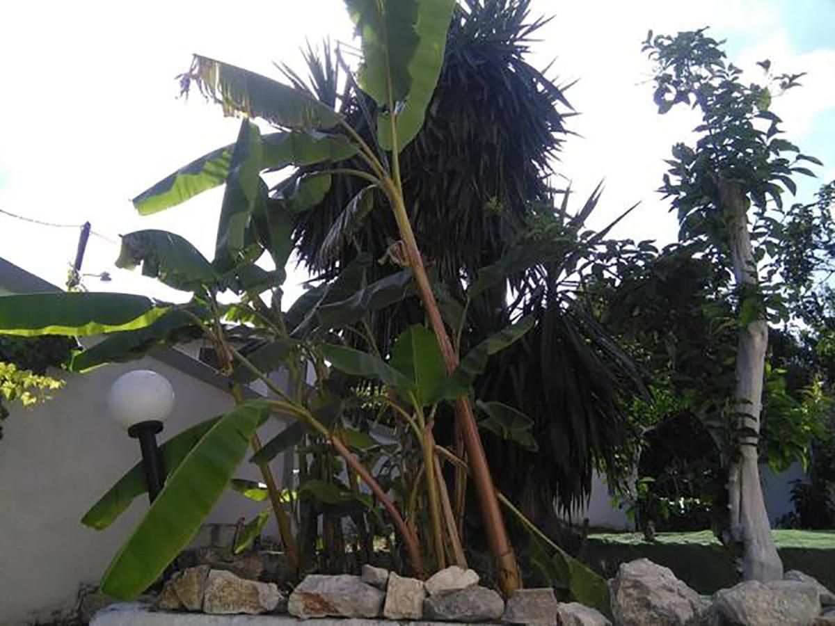 Aragorn Paradise Garden Moraḯtika Exteriér fotografie